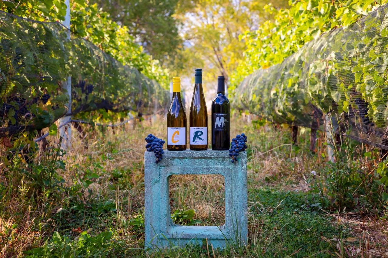 Crowsnest Vineyards Guesthouse Keremeos Extérieur photo