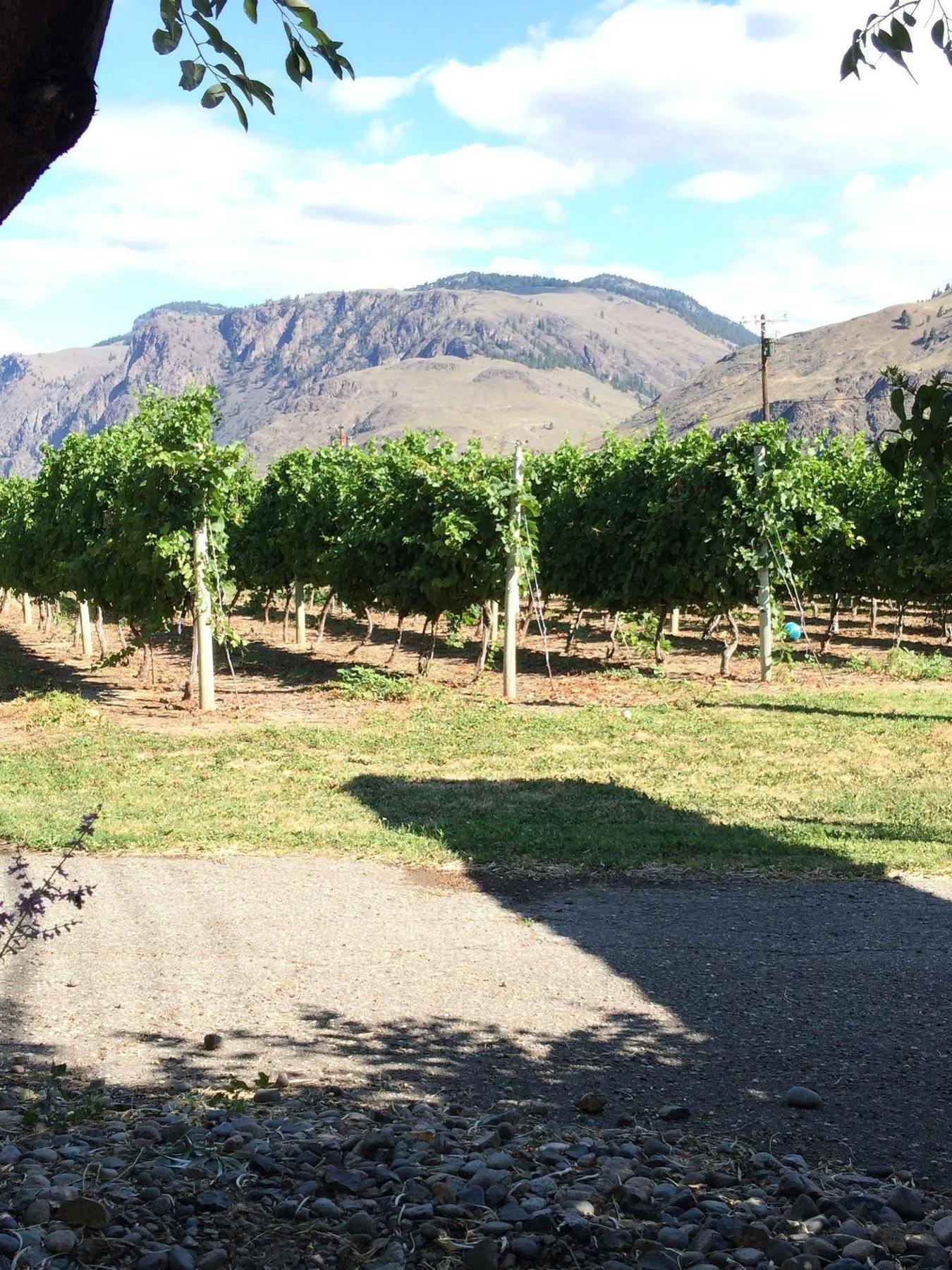 Crowsnest Vineyards Guesthouse Keremeos Extérieur photo